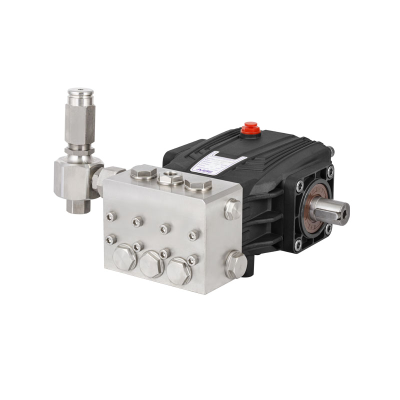 JPBF-N0810 ارتفاع ضغط 8Lpm 100Bar مضخة ثقيلة S.S ثلاثية الغطاس لمحطة تحلية المياه